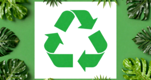 Adopt a Green Lifestyle