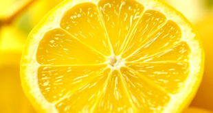 Fruits and Veggies Galore!